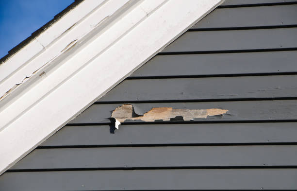 Professional Siding Installation in Adel, IA